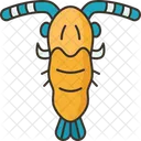 Plankton  Icon