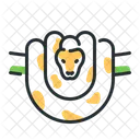Python  Icon